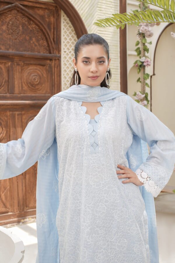 Manizay Dilkash Mumtaz Premium Embroidered Bana Dora Lawn With Embroidered Voile Lawn Dupatta M-09 - Image 4