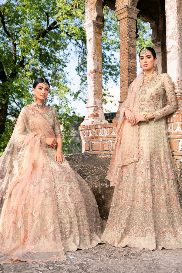 H-202 Ramsha Unstitched Luxury Wedding Collection - Image 10