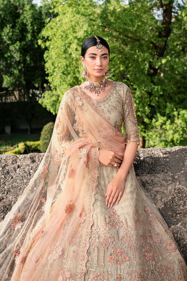 H-202 Ramsha Unstitched Luxury Wedding Collection - Image 9